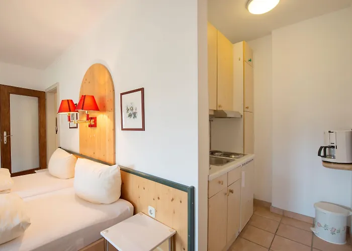 Appartement Tirolerhaus *