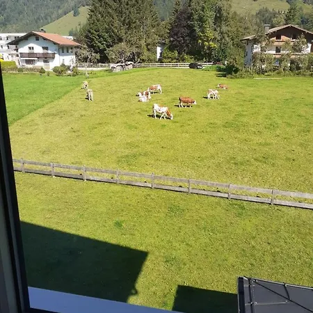 Tirolerhaus Apartment Walchsee