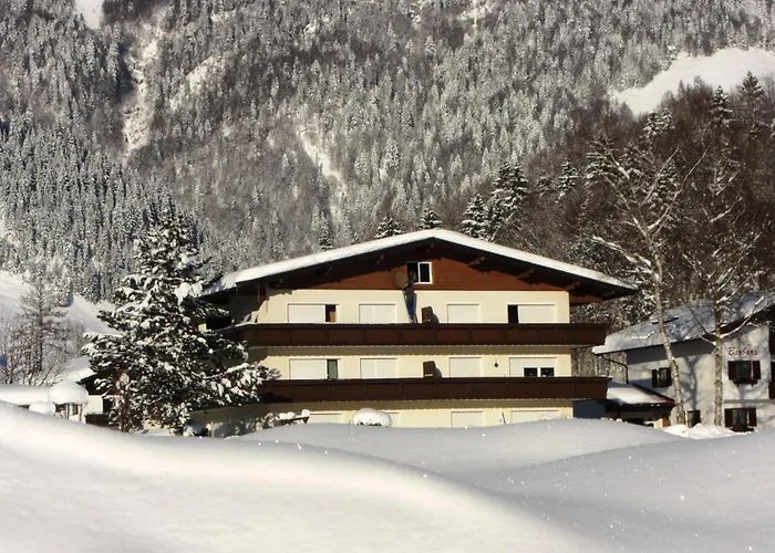 Tirolerhaus Daire Walchsee